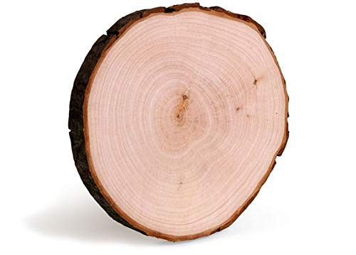 Hobby Ring Bark Board Round Approx. Diameter 17 x 2 cm
