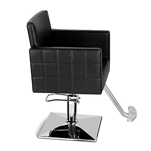 Paddie Hydraulic Salon Chair For Hair Stylist, 360 Degrees Rolling Swivel Barber Chairs All Purpose Beauty Spa Equipment, Max Load Weight 330 Lbs (Black) #TOP7