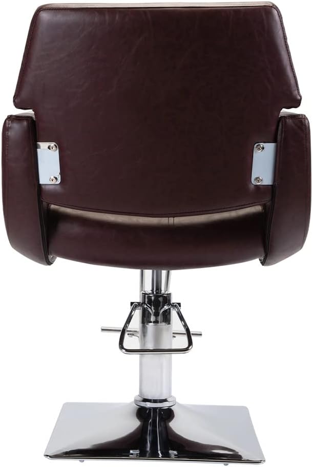 Silver Armrest Barber Chair Salon Chair with Adjustable Headrest