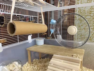 WHFPS Silent Hamster Exercise Wheel - Hamster Toy Accessories 6.3 Inch Running Spinner Quiet Hamster Runner for Small… - Image 4