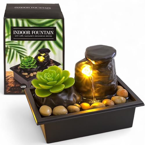 MIJOMA Zimmerbrunnen mit LED-Beleuchtung, künstlicher Sukkulente & Dekosteinen – Batteriebetriebener Tischbrunnen für entspannende Atmosphäre, 17,5 x 11 x 11,5 cm