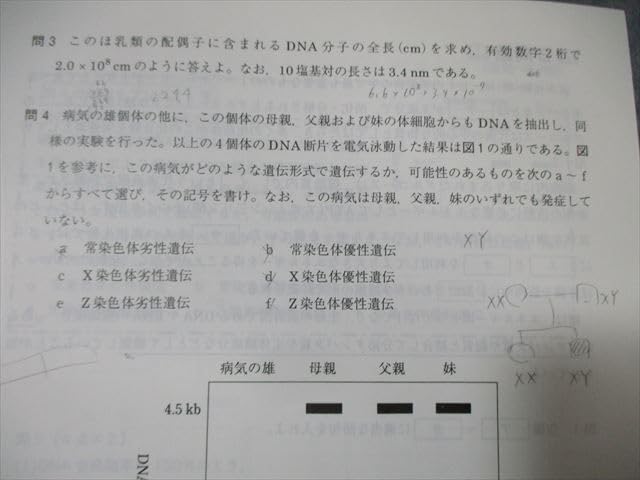 Amazon.co.jp: WO03-091 駿台 パワーアップ医系生物 計22回分 通年