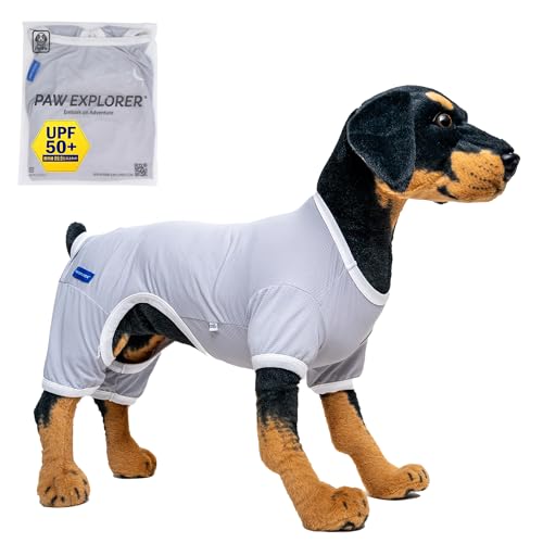 mPAW EXPLORERn Freedom UVcut Shirt | UPF50+ ̕  hbOEFA UVJbg p[X ʋC ΍ O΍ Ăh~ ̉  ^ ^ ^ ^  AEghA 6