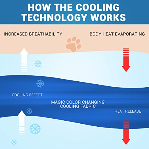 Rywell Upgrade Self-Cooling Mat For Dogs Extra Large, 44'' X 32'' - Endothermic Color Changing Arc-Chill Cooling Fiber - Washable Non-Toxic Summer Pet Outdoor Bed, Non-Slip&Foldable #TOP3