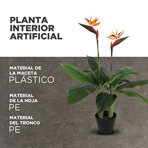 Review de Planta ave del paraiso precio disponible en línea. 8 Imagen adicional