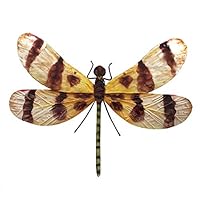 Algopix Similar Product 9 - Eangee Home Design Dragonfly Wall