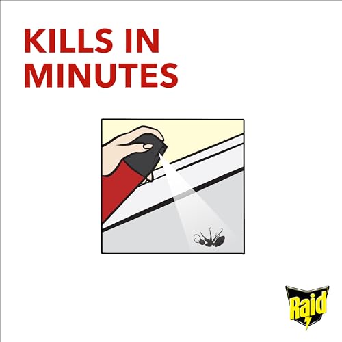 Raid Ant & Cockroach Killer, Insect Killer For Indoor Use, Long Lasting Protection for the Home, Pack of 6 (6 x 300ml) - Image 4
