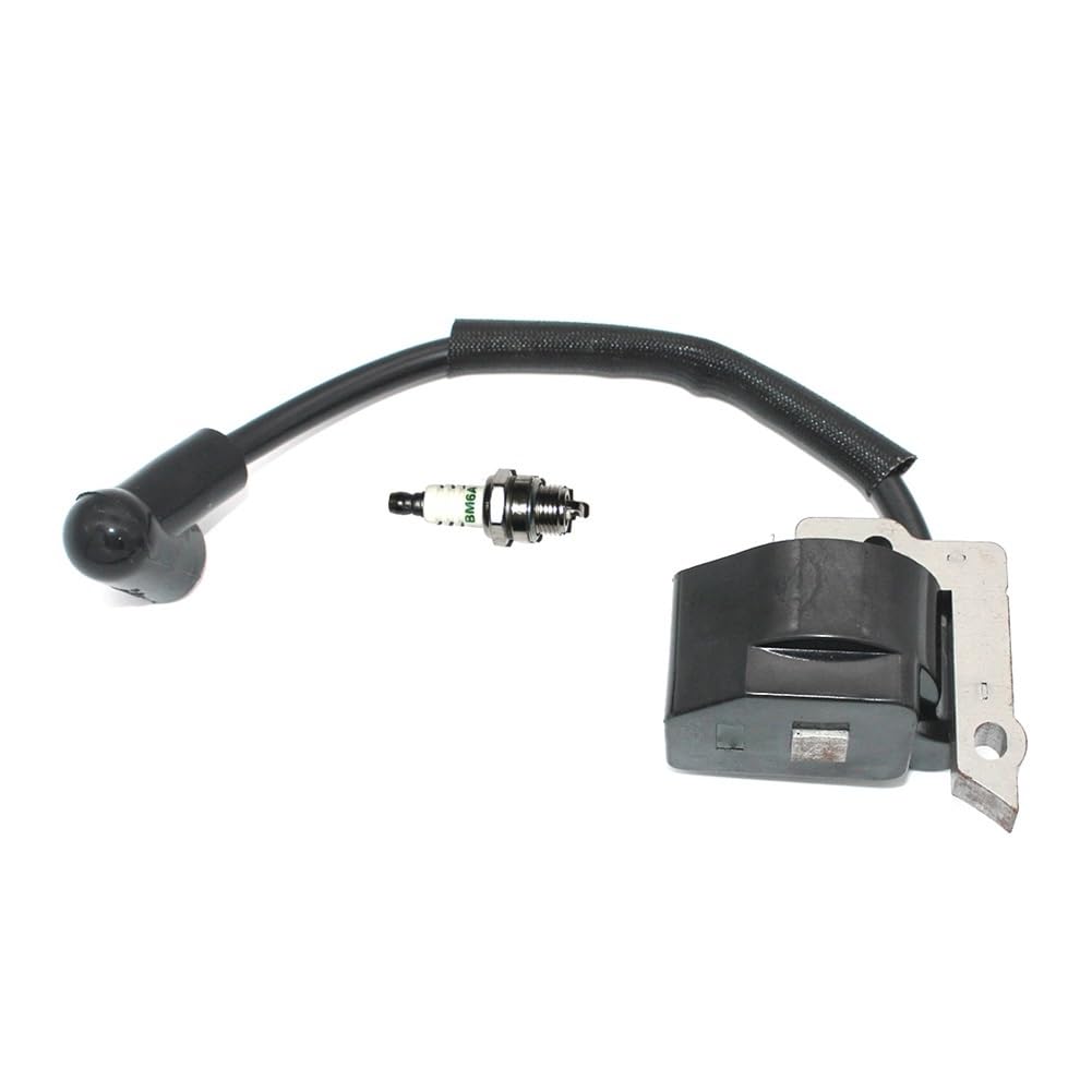 Module de bobine d'allumage haute durabilité pour modèle LT-30 MS-30