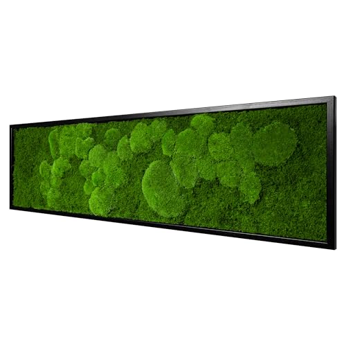 Moos Design | Moosbild in versch. Größen (Fifty Fifty Design Holzrahmen: schwarz 140 x 40 cm)