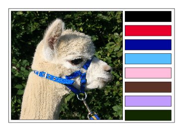 Alpaca/Cria Halter/Headcollar Extra Small ROYAL BLUE