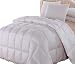 Royal Hotel Dobby Down Comforter 650-FILL-POWER Down-Fill, 100% Egyptian Cotton 300-Thread-Count, Queen Size, Down White