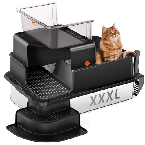 Rated 4.3 out of 5 stars from 31 reviews