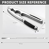 Gxlaihly B0CD76QWYZ lato 2