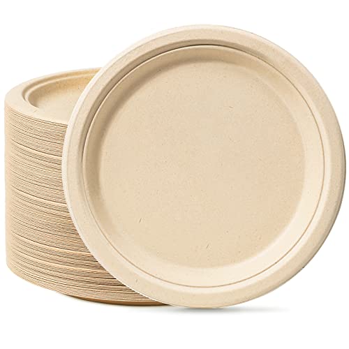 Rigid 10 inch 100 Pack Disposable Paper Brown Plates Sugarcane Large Strong Dishes for Picnic Wedding Party BBQ