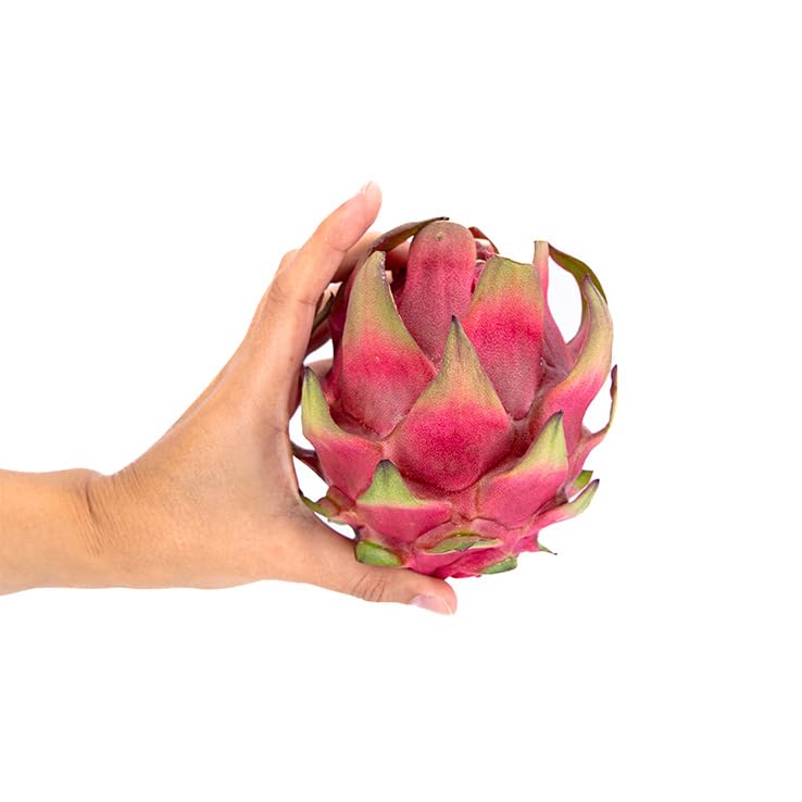 Pitahaya Purpura 3 kg, La Parcela, Origen España, Andalucía (Costa Tropical), Comprar Pitahaya Fresca, De La Huerta A Tu Casa, Producto de Cooperativa Granada La Palma
