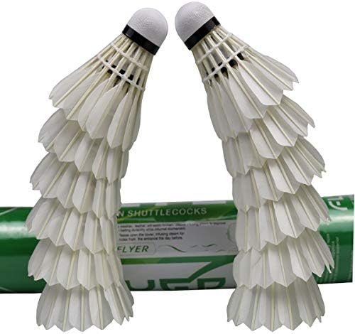 Badminton Birdies
