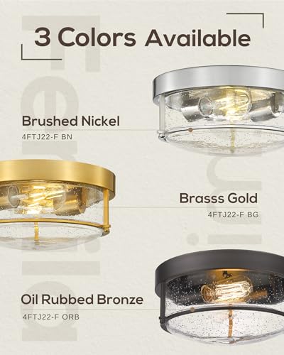 FEMILA Flush Mount Light Fixture, 12" Ceiling Light Fixtures, Farmhouse Porch Ceiling Lighting Outdoor, Oil Rubbed Bronze with Seeded Glass Shade,4FTJ22-F ORB