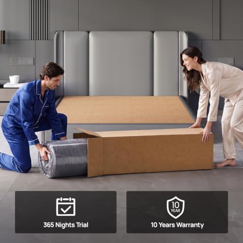 Image of Medium Firm Full Mattress for Pain and Pressure Relief, 10 inch Hybrid Mattress with Extra Back and Lumbar Support, Fiberglass Free, 365 Nights Trial