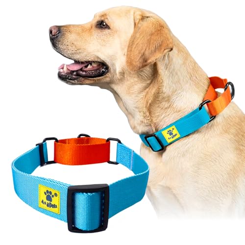 Image of A+a Pets Martingale Dog Collar | No Pull Design,No Neck Strain,No Choke Design | for Large & Medium Dogs | Rust Free,Waterproof Nylon Training Collar (Light Blue & Orange),20 x 2.5 cm