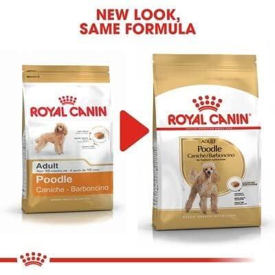 Royal Canin Pudel 1,5 kg