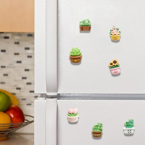 Set 21 imanes de plantas en mini maceta para refrigerador miniatura 7