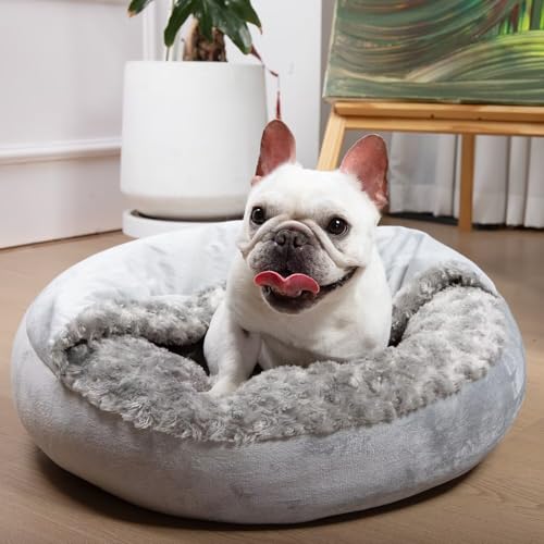 Small Dog Bed with Blanket Removable Cover Cave Washable Cat Pet ...
