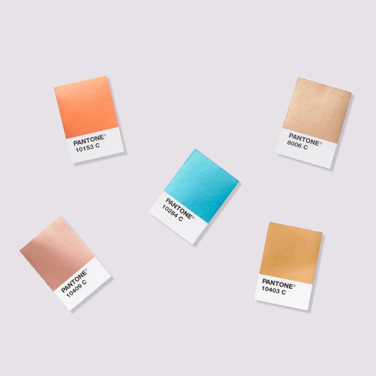 Amazon | パントン(PANTONE) 色見本 メタリック・チップブック GB1507C