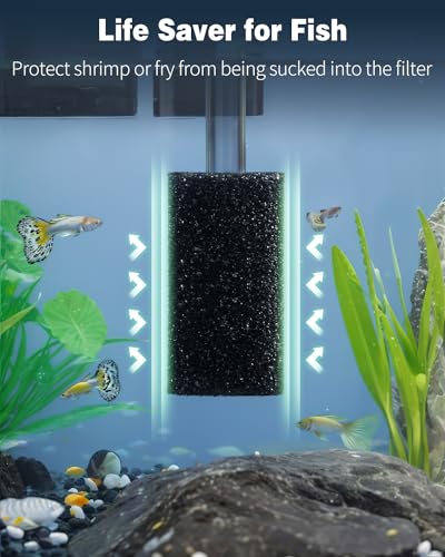 Image of Pawfly 6 Pack Pre-Filter Sponge, 0.6 inch Aquarium Intake Filter Sponge Foam Cover Rolls for Small Fish Shrimp Fry Fish Tank Covers Accessories