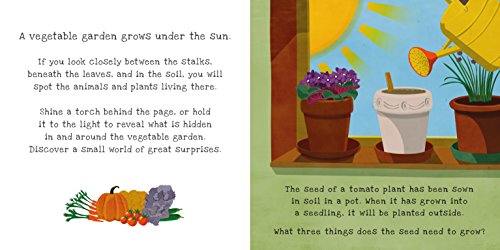 Shine a Light: Secrets of the Vegetable Garden