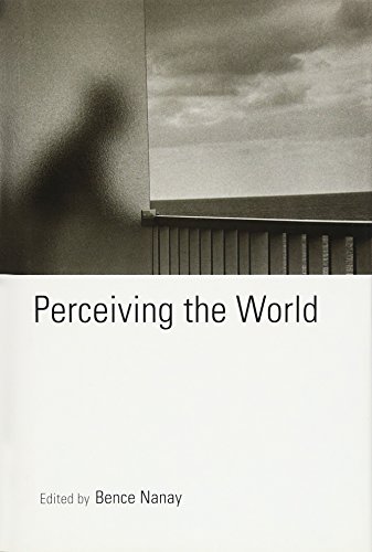 Perceiving the World view 2