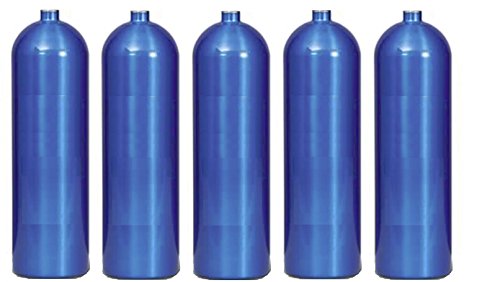 5 Refills Microburst Nitrous Oxide NOs XL Cartridge 20 cc Bottles