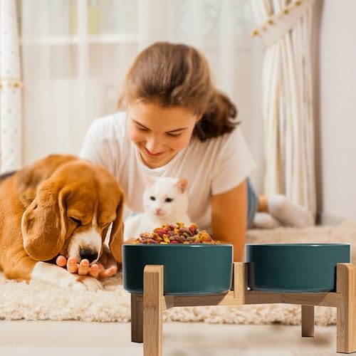 Hundenapf Set Erhöht Hunde Napfset - Doppel Napf Hund Keramik mit rutschfestem Ständer - Erhöhte Futterstation Hund 2er Set für Futter und Wasser - Ideal für kleine und mittelgroße Hunde - 2 x 850 ml