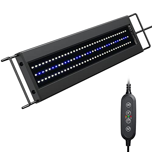 Aquarium lighting The 15 best products in comparison Aquaristics