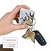 3dRose Key Chains Group of Atlantic Puffins On Mykines, Faroe Islands, Denmark, 2.25 by 2.25-Inches, Set of 2 (kc_277355_1)