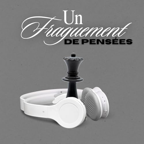 41.104 Un fragment de pensées