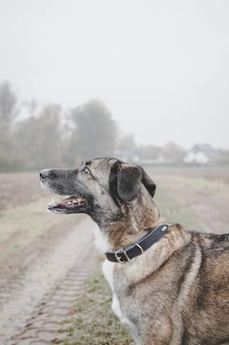 HUNTER Hundehalsband Grenada aus Leder, Farbe: Dunkelblau, handgefertigt in Deutschland, für Training und Alltag, robust, komfortabel, Schlichtes, Elegantes Design, Größe: 42, Umfang: 33-39 cm
