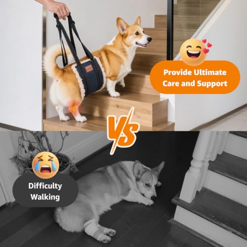 Image of LOOBANI Portable Dog Sling for Medium Dogs Hind Leg Support Weak Rear Legs