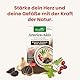Alsiroyal Schwarzer Knoblauch (60 Kapseln) mit S-Allylcystein – 22.500mg pro Tagesdosis von 2 Kapseln (45:1 Extrakt) – Mistel & Weißdorn, Vitamin B1 & Vitamin C – Vegan & ohne künstliche Zusatzstoffe