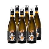 BODEGA CUATRO RAYAS