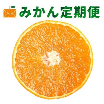 (発送月固定定期便)コウ果樹園の人気柑橘定期便(H33-44)全4回