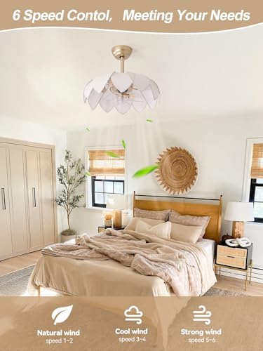 Image of ainqiant 20 inch Gold Fandelier Ceiling Fans with Lights,Flower Chandelier Ceiling Fan with Light and Remote Control, Boho Fandelier with 6 Speeds for Bedroom, Nursery, Living Room