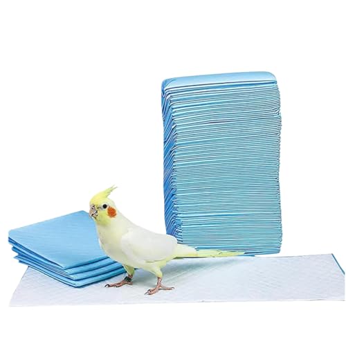 pV[c 20/40/50/100Zbg ybgV[c z R L p V hV[c Q[W CR Ƃ肩  ZLZCCR ĝďނ (20,XL-60*90CM)