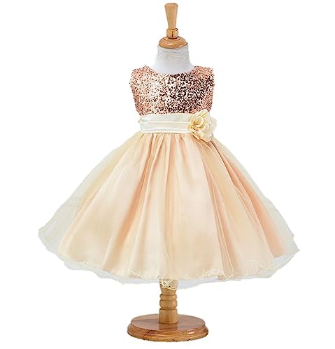 Girl Bridesmaid Pageant Dress Toddler Baby Formal Lace Long Dance Dresses Kids Tulle Tutu Skirts Easter Clothes2