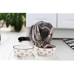 Pearhead Ceramic Cat Bowl, Holds 12 oz, Whisker-Friendly Pet Dish for Food and Water, Cute Cat Face Design - Image 6