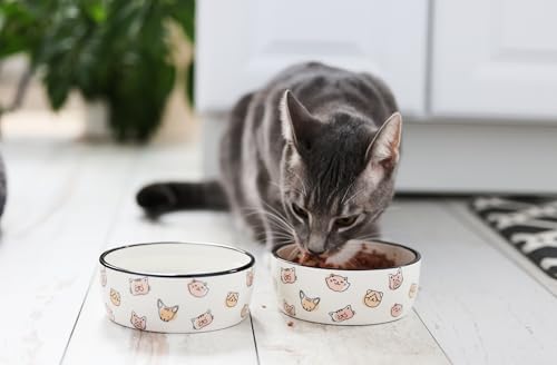 Pearhead Ceramic Cat Bowl, Holds 12 oz, Whisker-Friendly Pet Dish for Food and Water, Cute Cat Face Design by Pearhead - Image 3