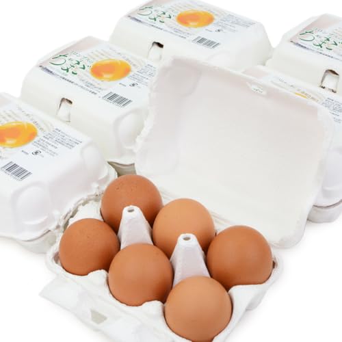 y̎|s  RuX̒ A100 RuX ܂  ܂ Z ԋ ʎq  mY l\ { 6×6pbN(36)