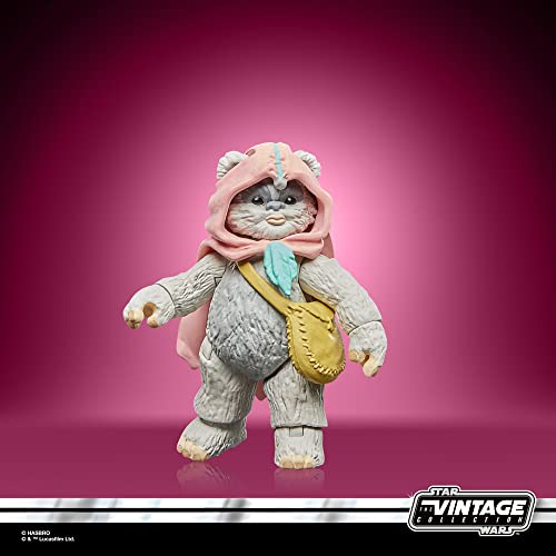Hasbro Star Wars Ewoks Wicket & Kneesaa - vue 9