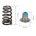 560'' Lift LS6 Beehive Valve Springs with Hat Seals 4.8 5.3 5.7 6.0 SP011 Fits LQ4 LQ9 LS1 LS2 LS3 LS4 LS5 LS6 for Gen III IV LS Engines Replaces 12713265 12499224
