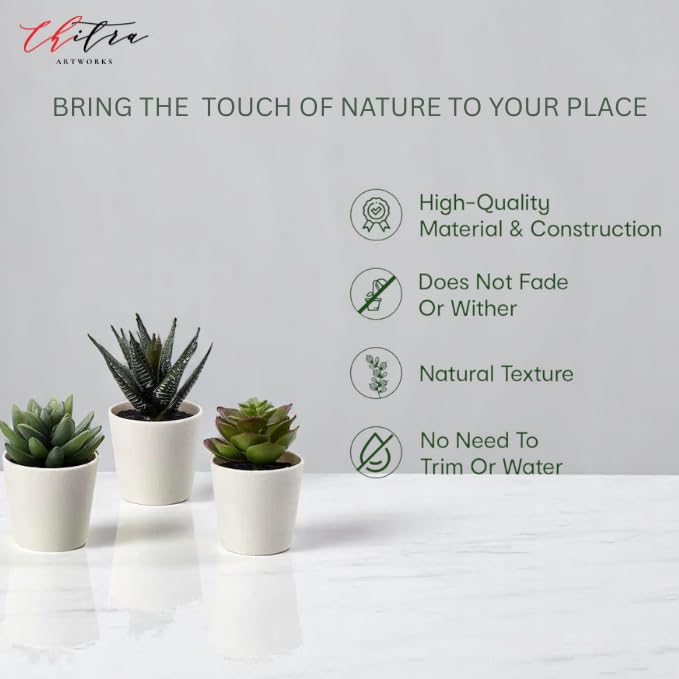 Image of Artificial Plants Fern with Pot for Home, Office, Living Room & Counter Decoration | Realistic Faux Greenery for Indoor Use | Durable Plastic Pot (5)