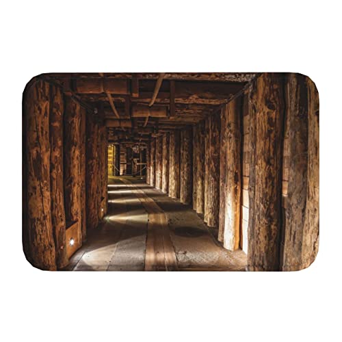 Vucemi Salt Mine Printed Doormat Outdoor Indoor Rugs Durable Door Mats Absorben Rubber Backing Non-Slip Welcome Mat - 16X24In #TOP7